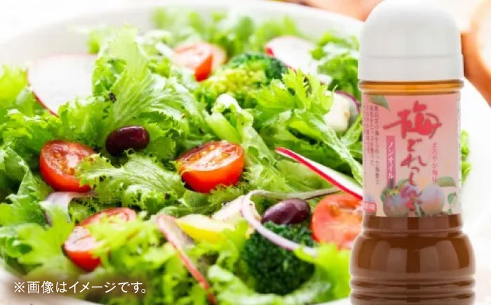 お醤油屋さんのドレッシング2種セット（基本・梅）各2本  調味料 ドレッシング サラダ 詰め合わせ 島根県雲南市/有限会社紅梅しょうゆ [AICV066]