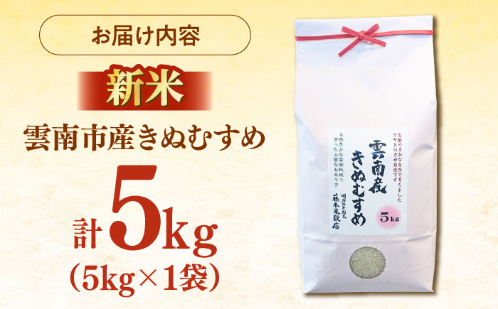 【特A】雲南市産きぬむすめ 5kg [AIDB099]