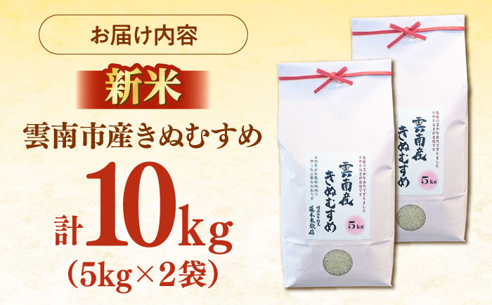 【特A】雲南市産きぬむすめ 10kg（5kg×2袋） [AIDB100]