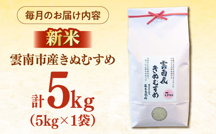 【全3回定期便】【特A】雲南市産きぬむすめ 5kg  [AIDB102]
