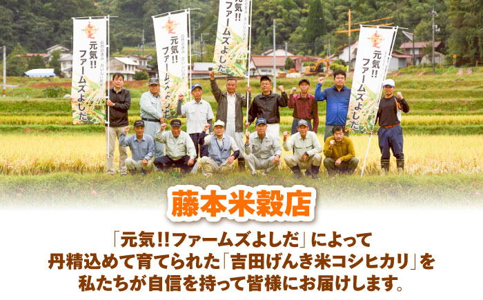 【新米】吉田げんき米つや姫 2kg 島根県雲南市/有限会社藤本米穀店 ｜つやひめ 白米 精米 コメ 2キロ [AIDB122]