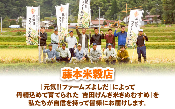 【新米】吉田げんき米きぬむすめ 5kg 島根県雲南市/有限会社藤本米穀店 ｜ブランド米 きぬ娘 白米 精米 コメ 5キロ [AIDB129]