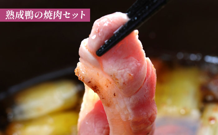 【先行予約】【2026年2月中旬順次発送】【全3回定期便】島根県産野草ミネラル熟成鴨バラエティーセット ＜美味しい食べ方レシピ付き＞ 十割蕎麦 そば 鴨鍋 しゃぶしゃぶ セット 詰め合わせ 食べ比べ島根県雲南市/鴨専門店カナール [AIDC010]