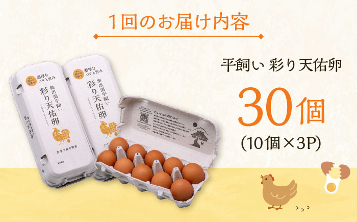 【全9回定期便】黄身の濃厚なコクと白身の甘み！たたらの里平飼い 彩り天佑卵 30個入り（10個×3P）たまご 卵 放牧卵 平飼い卵 新鮮 国産 島根県雲南市/株式会社たなべたたらの里（たなべ森の鶏舎） [AIDL004]