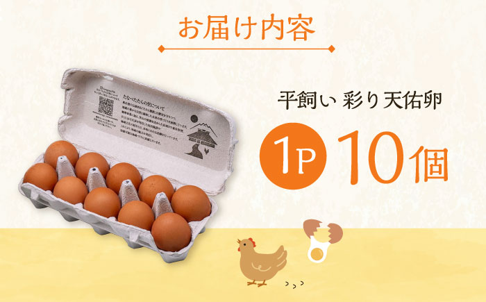 黄身の濃厚なコクと白身の甘み！たたらの里平飼い 彩り天佑卵 10個入り（10個×1P）たまご 卵 放牧卵 平飼い卵 新鮮 国産 島根県雲南市/株式会社たなべたたらの里（たなべ森の鶏舎） [AIDL006]