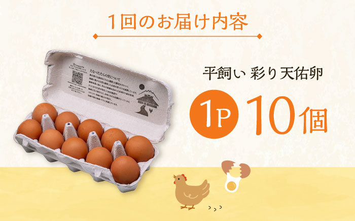 【全12回定期便】黄身の濃厚なコクと白身の甘み！たたらの里平飼い 彩り天佑卵 10個入り（10個×1P）たまご 卵 放牧卵 平飼い卵 新鮮 国産 島根県雲南市/株式会社たなべたたらの里（たなべ森の鶏舎） [AIDL010]