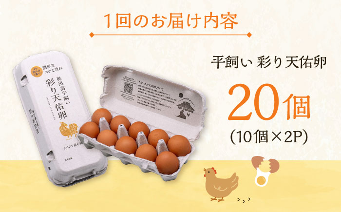 【全12回定期便】黄身の濃厚なコクと白身の甘み！たたらの里平飼い 彩り天佑卵 20個入り（10個×2P）たまご 卵 放牧卵 平飼い卵 新鮮 国産 島根県雲南市/株式会社たなべたたらの里（たなべ森の鶏舎） [AIDL015]
