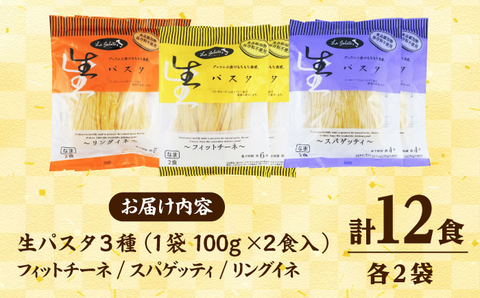 【ジャパンフードセレクション金賞・グランプリ受賞】生パスタバラエティセット3種（各2袋×2食入）食べ比べ フィットチーネ リングイネ スパゲッティ 生パスタ もちもち 島根県雲南市/有限会社本田商店 [AIDS005]