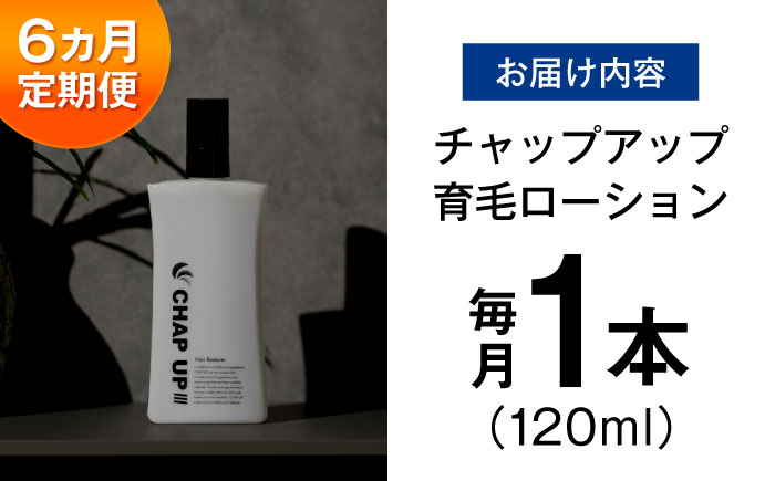 【全6回定期便】薬用育毛剤チャップアップ CHAP UP 毎月育毛剤120mL1本 | 育毛 育毛ローション 薄毛 薄毛対策 脱毛予防 発毛 発毛促進効果 男性 島根県雲南市/株式会社ソーシャルテック [AIDV004]