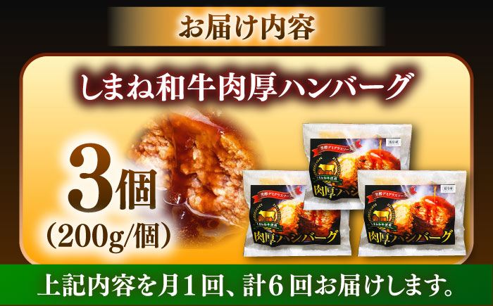 【全6回定期便】しまね和牛ハンバーグ200g×3個 ハンバーグ しまね和牛 小分け 肉 肉厚 和牛 簡単調理 湯煎 人気 お試し 島根県雲南市/株式会社 みやげ山海 [AIDZ005]