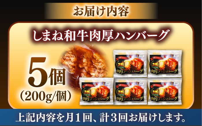 【全3回定期便】しまね和牛ハンバーグ200g×5個 ハンバーグ しまね和牛 小分け 肉 肉厚 和牛 簡単調理 湯煎 人気 お試し 島根県雲南市/株式会社 みやげ山海 [AIDZ006]