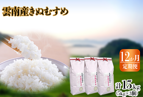 ふるさと納税 赤磐市 米 定期便 2ヶ月 きぬむすめ 10kg(5kg×2袋)岡山県