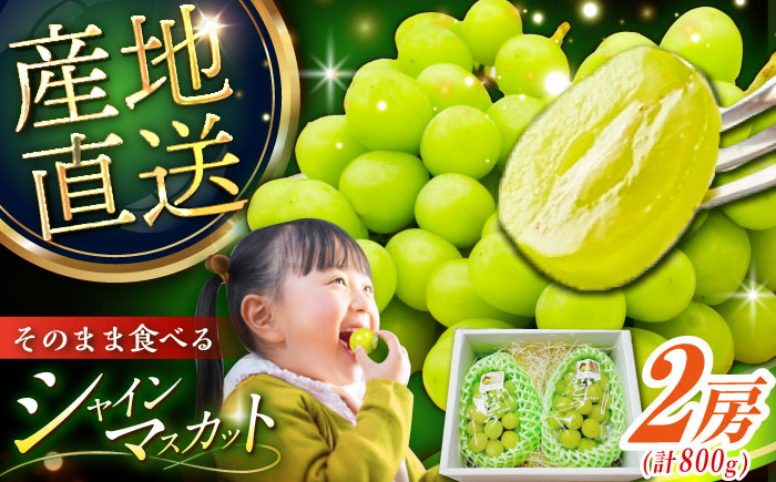 【2025年先行予約】【8月初旬頃から順次発送】皮ごと食べれる！シャインマスカット 2房 約800g 島根県雲南市/池田ぶどう農園　 [AIAA002]