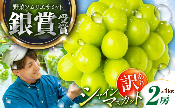 【2026年先行予約】【30個限定】【ご自宅用】旬の味わいを産地直送で！シャインマスカット 2房（約1kg）簡易包装 訳あり 島根県雲南市/ギアファーム [AIAB002]