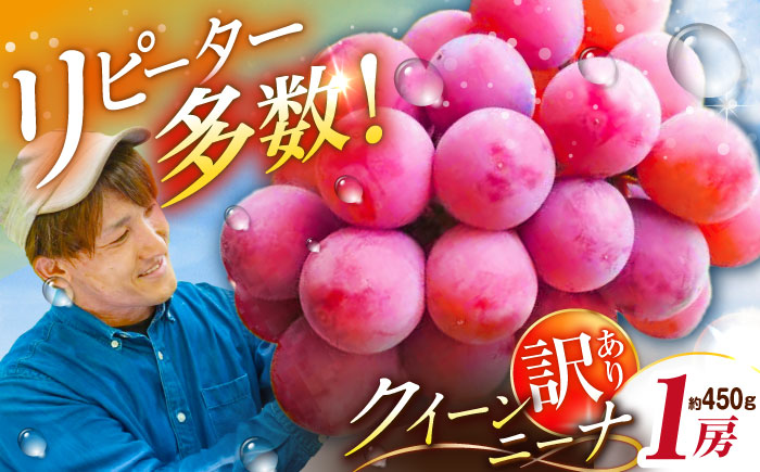 【2026年先行予約】【30個限定】【ご自宅用】リピーターが続出中！クイーンニーナ 1房（約450g）簡易包装 訳あり 島根県雲南市/ギアファーム [AIAB006]