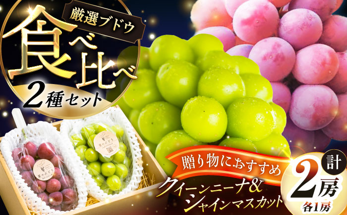 【先行予約：2026年8月中旬より発送】【贈答用】人気の2品種を食べ比べ！シャインマスカット 1房 クイーンニーナ 1房（約1kg）秀品・化粧箱入り 島根県雲南市/ギアファーム [AIAB012]