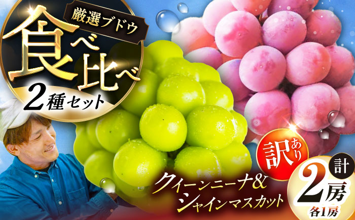 【先行予約：2026年8月中旬より発送】【ご自宅用】人気の2品種を食べ比べ！シャインマスカット 1房 クイーンニーナ 1房（約950g）簡易包装 訳あり 島根県雲南市/ギアファーム [AIAB013]