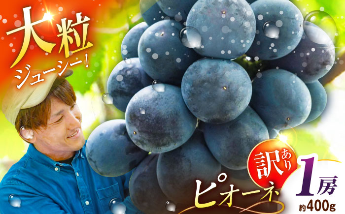 【先行予約：2026年8月中旬より発送】【ご自宅用】旬の味わいを農家直送で！ピオーネ 1房（約400g）簡易包装 訳あり 1万円 島根県雲南市/ギアファーム [AIAB014]