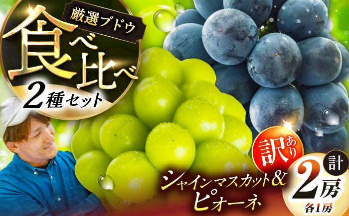 【先行予約：2026年8月中旬より発送】【ご自宅用】農家直送の2品種を食べ比べ！シャインマスカット 1房 ピオーネ 1房（約850g）簡易包装 訳あり 島根県雲南市/ギアファーム [AIAB017]