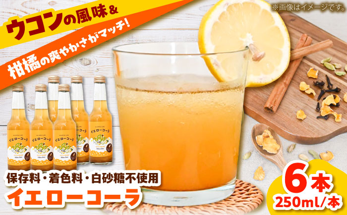 すぐ飲めるイエローコーラ 250ml×6本セット コーラ 手作り ジュース スパイス 無添加 健康 爽やか リフレッシュ こだわり ご当地コーラ 地コーラ 島根県雲南市/出雲SPICE LAB. [AIAD002]