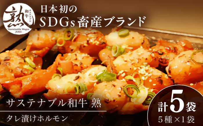 サステナブル和牛 熟 ホルモン タレ漬けシリーズ5P（もつ・レバー・ハツ・センマイ・ミックス）| 牛肉 和牛 熟成 タレ漬け セット 島根県雲南市/株式会社熟豊ファーム [AIAT002]