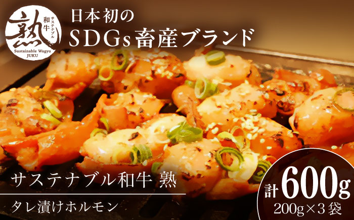 サステナブル和牛 熟 タレ漬けホルモン3P 200g×3袋 計600g | サステナブル 和牛 熟 自家製 タレ漬け ホルモン 島根県雲南市/株式会社熟豊ファーム [AIAT004]