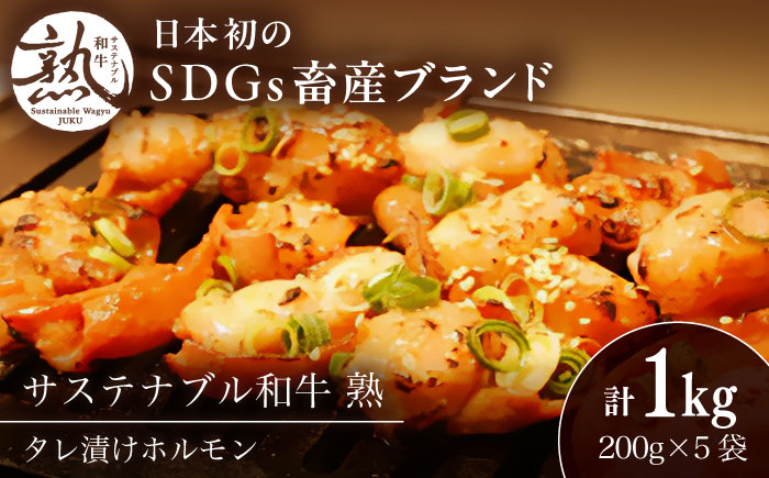 サステナブル和牛 熟 タレ漬けホルモン5P 200g×5袋 計1キロ | サステナブル 和牛 熟 自家製 タレ漬け ホルモン 島根県雲南市/株式会社熟豊ファーム [AIAT019]