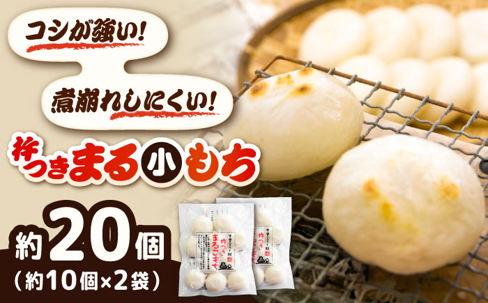 餅 杵つきまるこもち 300g 2袋セット（20個）[AIBB014]