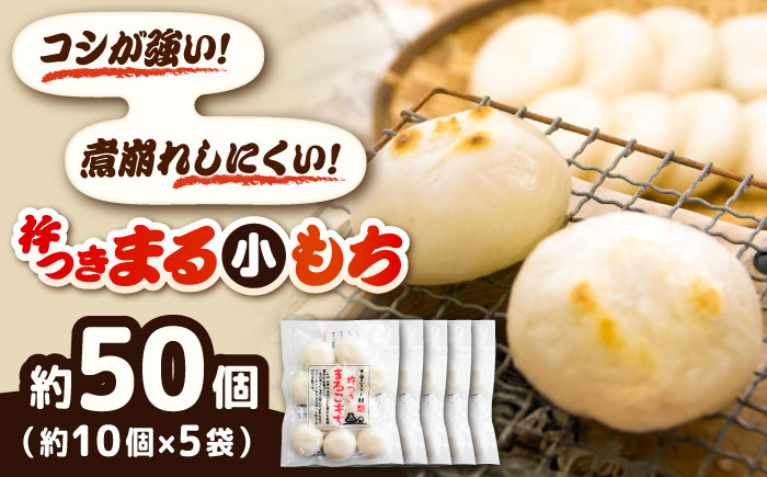 餅 杵つきまるこもち 300g 5袋セット（50個）[AIBB016]