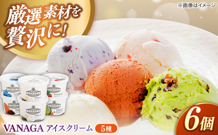 ご褒美アイスにぴったり！VANAGA 5種類のアイスクリーム6個入 島根県雲南市/木次乳業有限会社 [AIBH002]