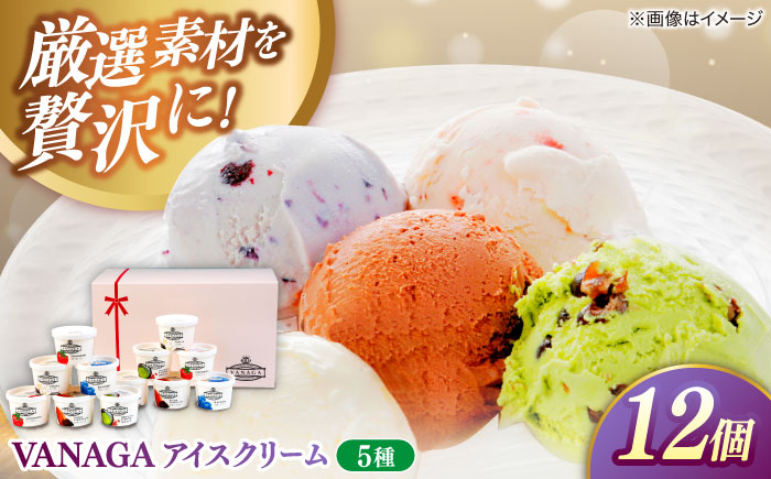 ご褒美アイスにぴったり！VANAGA 5種類のアイスクリーム12個入り 島根県雲南市/木次乳業有限会社 [AIBH008]