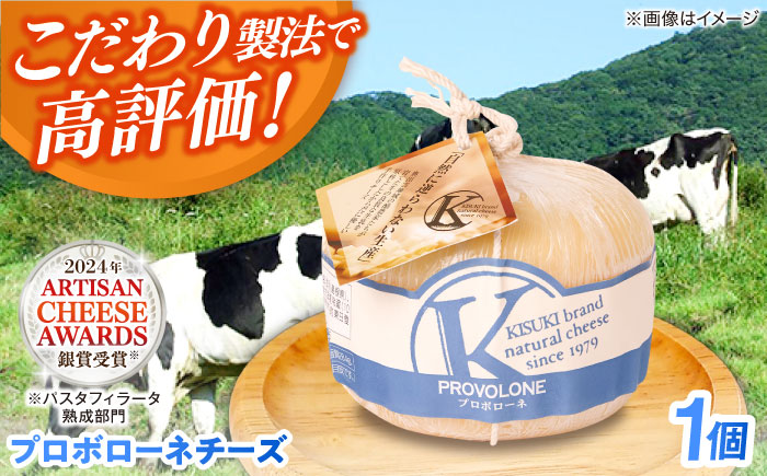 プロボローネチーズ 1個 380g | チーズ 乳製品 人気 おすすめ 島根県雲南市/木次乳業有限会社 [AIBH018]