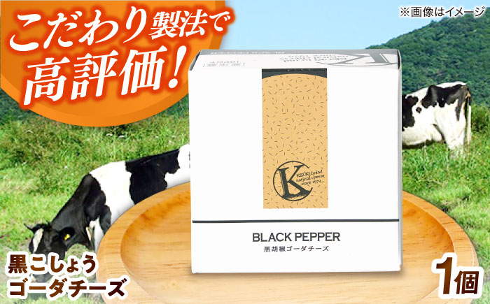 黒こしょうゴーダチーズ １個 180g | チーズ 人気 おすすめ 乳製品 島根県雲南市/木次乳業有限会社 [AIBH023]