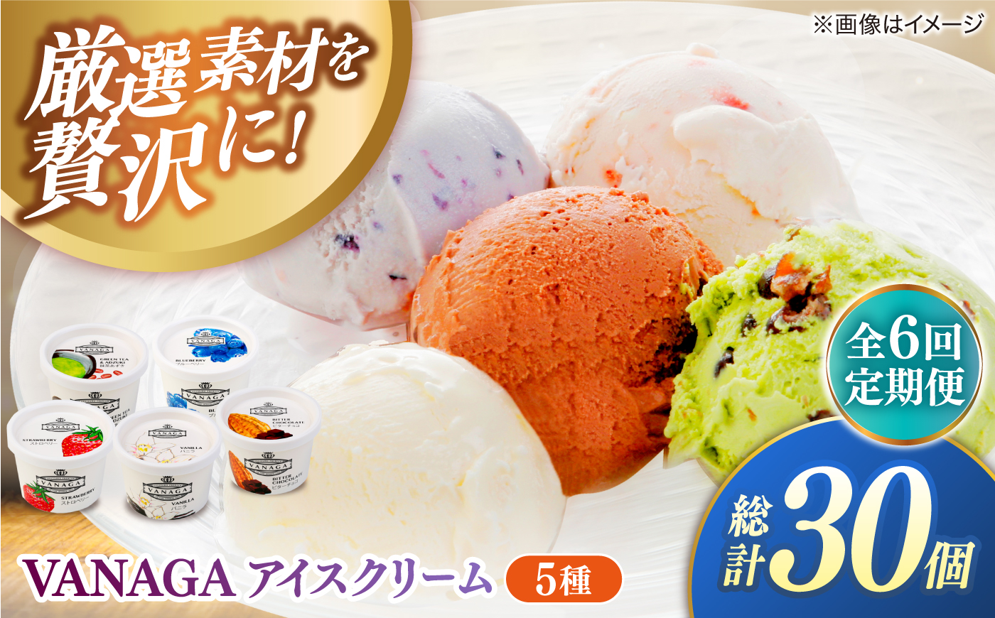 【全6回定期便】ご褒美アイスにぴったり！VANAGA 5種類のアイスクリーム5個入り 島根県雲南市/木次乳業有限会社 [AIBH048]