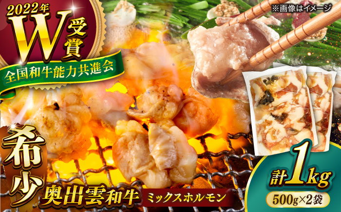 【奥出雲和牛100％】和牛日本一のミックスホルモン 500g×2袋 冷凍 黒毛和牛 ブランド牛 もつ鍋 焼肉 アウトドア 人気 おすすめ 島根県雲南市/島根県農業協同組合　雲南地区本部 畜産加工所 [AIBQ009]