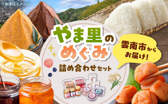 ３種の米を食べ比べ! 「やま里の恵み」詰合セット 米 こしひかり つや姫 きぬむすめ 梅 味噌 ジャム はちみつ 島根県雲南市/農事組合法人フレッシュファーム神代 [AICC002]