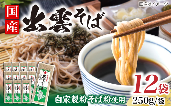 昔ながらの出雲そば 250g×12袋 | そば 出雲そば 麺 出雲 島根県雲南市/野々村製粉製麺所 [AICE002]