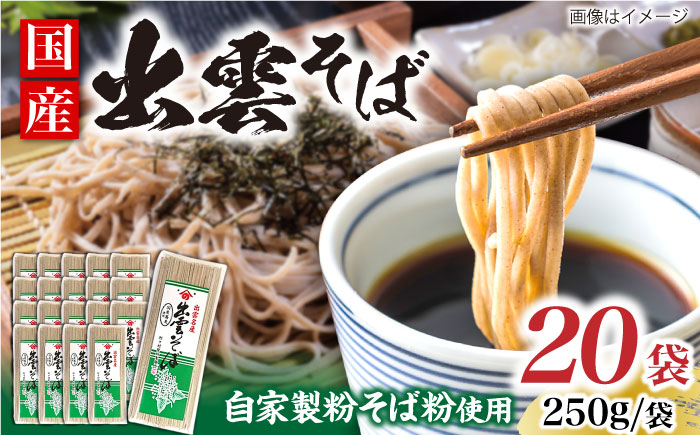昔ながらの出雲そば 250g×20袋 | そば 出雲そば 麺 出雲 お取り寄せ ご当地 蕎麦 小分け 個包装 便利 備蓄 乾麺 保存食 常温 保管 人気 大容量  国内製造 島根県雲南市/野々村製粉製麺所 [AICE004]