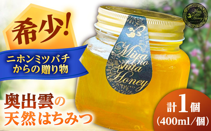 希少な天然日本ミツバチの「はちみつ」 400ml×1個 島根県雲南市/みやのしたハチミツ｜蜂蜜 国産 はちみつ ハチミツ[AICL002]