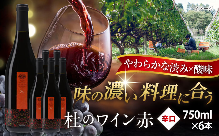 奥出雲葡萄園 杜のワイン赤　6本セット  国産 ワイン セット 島根県雲南市/有限会社奥出雲葡萄園 [AICS001]