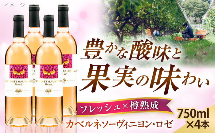 奥出雲葡萄園 カベルネソーヴィニヨン・ロゼ  4本セット  国産 ワイン セット 島根県雲南市/有限会社奥出雲葡萄園 [AICS021]