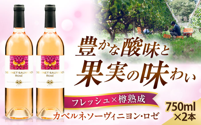 奥出雲葡萄園 カベルネソーヴィニヨン・ロゼ  2本セット  国産 ワイン セット 島根県雲南市/有限会社奥出雲葡萄園 [AICS023]