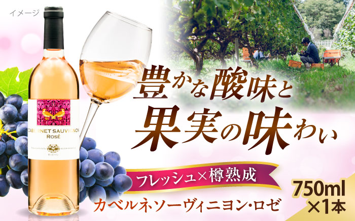 奥出雲葡萄園 カベルネソーヴィニヨン・ロゼ  国産 ワイン セット 島根県雲南市/有限会社奥出雲葡萄園 [AICS024]