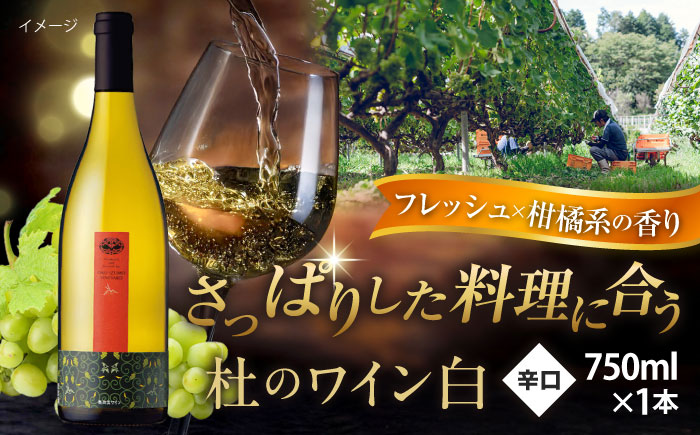 杜のワイン 白 1本 国産 ワイン セット 島根県雲南市/有限会社奥出雲葡萄園 [AICS051]