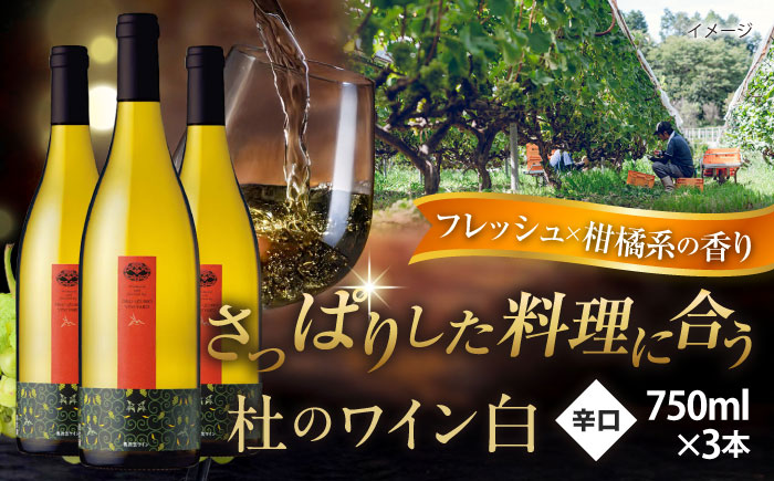 奥出雲葡萄園 杜のワイン白　3本セット   国産 ワイン セット 島根県雲南市/有限会社奥出雲葡萄園 [AICS052]