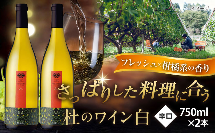 杜のワイン 白　2本セット 国産 ワイン セット 島根県雲南市/有限会社奥出雲葡萄園 [AICS053]