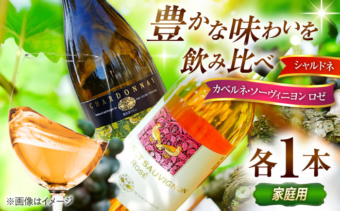 【家庭用】飲み比べセット カベルネロゼ×シャルドネ 750ml×各1本 計2本 ワイン お酒 ぶどう 島根県雲南市/有限会社奥出雲葡萄園 [AICS087]