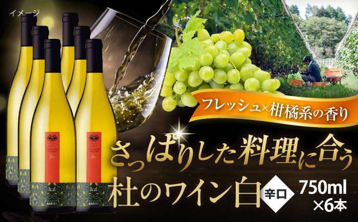 杜のワイン白 6本セット 白ワイン 辛口 お酒 セット ぶどう 島根県雲南市/有限会社奥出雲葡萄園 [AICS093]
