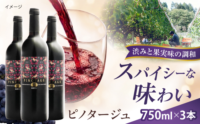 ピノタージュ 3本 750ml×3 赤ワイン 国産 島根県雲南市/有限会社奥出雲葡萄園 [AICS107]