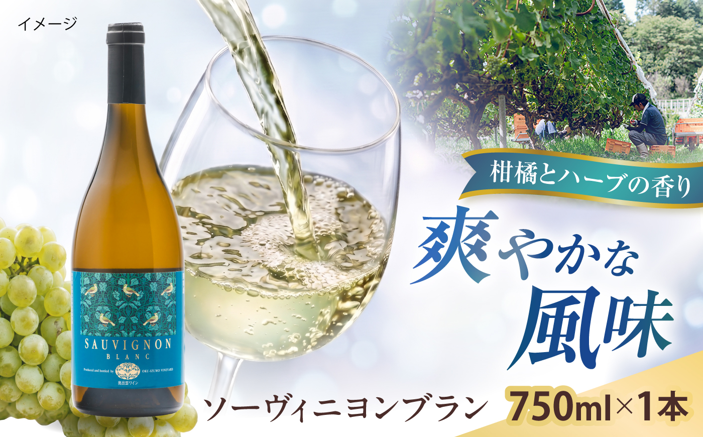 ソーヴィニヨンブラン 1本 750ml 白ワイン 国産 島根県雲南市/有限会社奥出雲葡萄園 [AICS109]